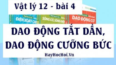 Dao dong Tat Dan Dao dong Cuong Buc la gi 390x220 1