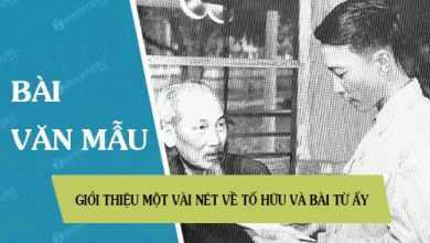 Gioi thieu mot vai net ve To Huu va bai 390x220 1