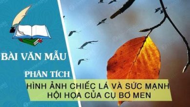 Hinh anh chiec la va suc manh hoi hoa trong 390x220 1