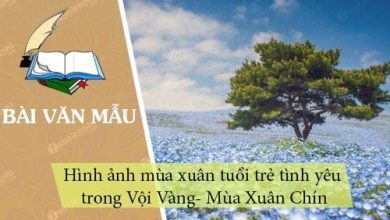 Hinh anh mua xuan tuoi tre tinh yeu trong Voi 390x220 1