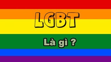 LGBT la gi LGBTQ la gi Cong dong LGBT gom 390x220 2