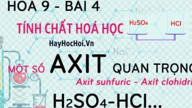 Mot so axit quan trong axit sunfuric H2SO4 dac loang 390x220 1