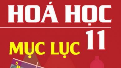 Muc luc sach giao khoa SGK Hoa 11 Ly 390x220 1