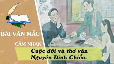 Nhung cam nhan sau sac anh chi qua tim hieu 390x220 1