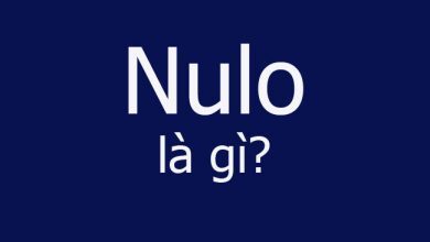 Nulo la gi 390x220 1