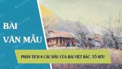 Phan tich 8 cau dau cua bai Viet Bac To 390x220 1