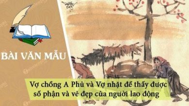 Phan tich Vo chong A Phu va Vo nhat de 390x220 1