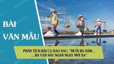 Phan tich bai ca dao sau Muoi ba nam muoi 390x220 2