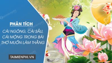 Phan tich cai ngong cai sau cai mong trong bai 390x220 1