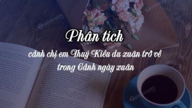 Phan tich canh chi em Thuy Kieu du xuan tro 390x220 1