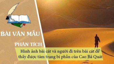 Phan tich hinh anh bai cat va nguoi di tren 390x220 1