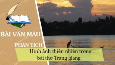 Phan tich hinh anh thien nhien trong bai tho Trang 390x220 1