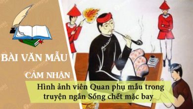 Phan tich hinh anh vien Quan phu mau trong truyen 390x220 1