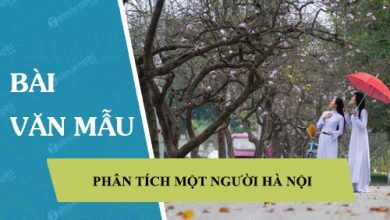 Phan tich tac pham Mot nguoi Ha Noi cua Nguyen 390x220 1