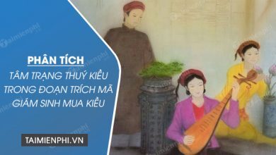 Phan tich tam trang Thuy Kieu trong doan trich Ma 390x220 1