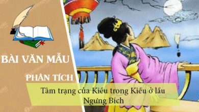 Phan tich tam trang cua Kieu trong Kieu o lau 390x220 1