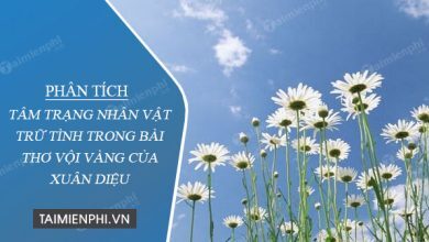 Phan tich tam trang nhan vat tru tinh trong bai 390x220 1