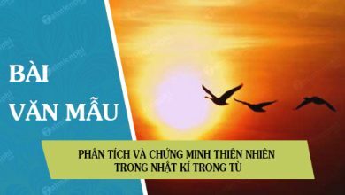 Phan tich va chung minh thien nhien trong Nhat ki 390x220 1