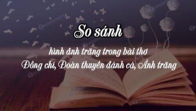 So sanh hinh anh trang trong bai tho Dong chi 390x220 1