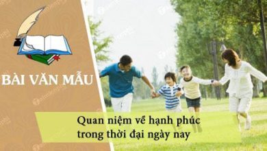 Suy nghi ve Quan niem ve hanh phuc trong thoi 390x220 1