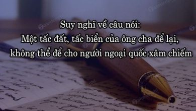 Suy nghi ve cau noi Mot tac dat tac bien 390x220 2