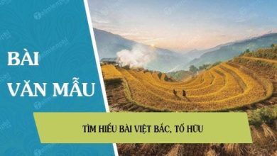 Tim hieu bai Viet Bac To Huu 390x220 1