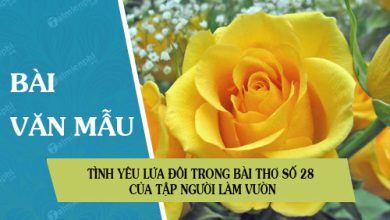 Tinh yeu lua doi trong bai tho so 28 cua 390x220 1