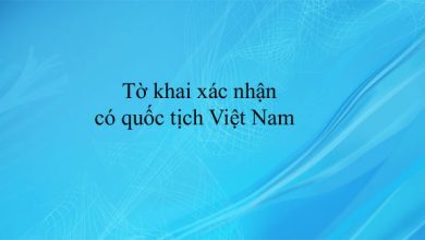 To khai xac nhan co quoc tich Viet Nam 390x220 2