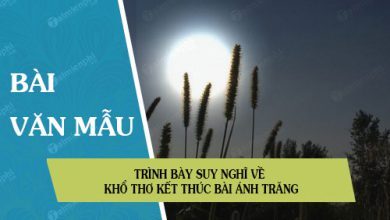 Trinh bay suy nghi ve kho tho ket thuc bai 390x220 1