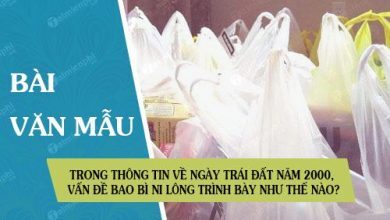 Trong Thong tin ve Ngay Trai Dat nam 2000 van 390x220 2