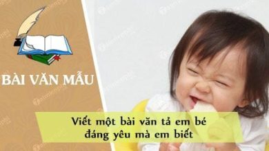 Viet mot bai van ta em be dang yeu ma 390x220 1