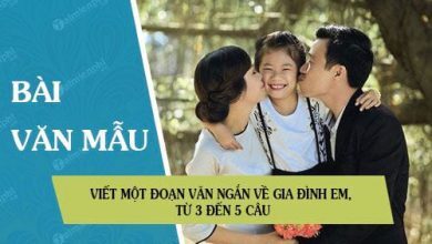 Viet mot doan van ngan ve gia dinh em tu 390x220 1