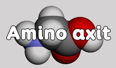 amino axit 1