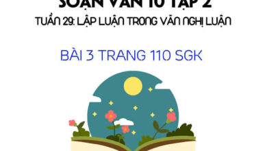 bai 3 trang 110 sgk ngu van 10 tap 2 l2020 1