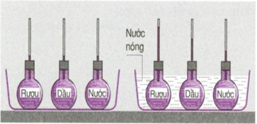 Bài C3 (trang 60 SGK Vật Lý 6)