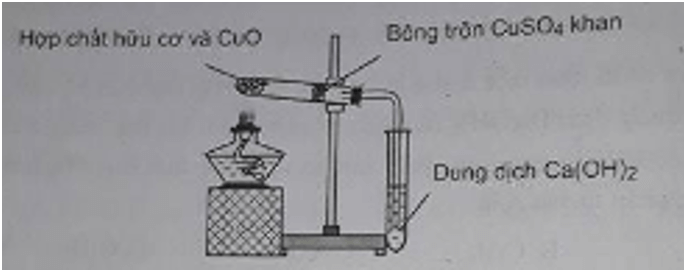 Trắc nghiệm Hóa học 11 Bài 28 có đáp án