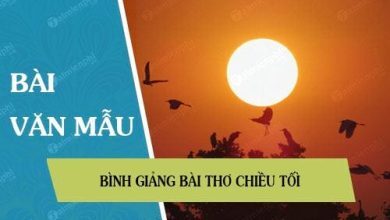 binh giang bai tho chieu toi 390x220 1