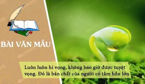 binh luan ve cau noi luon luon hi vong khong bao gio duoc tuyet vong do la ban chat cua nguoi co tam hon lon