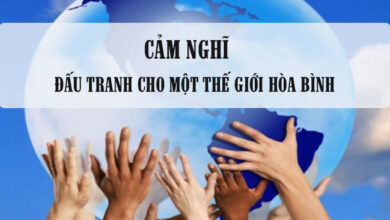 cam nghi ve dau tranh cho mot the gioi hoa binh rs650 1