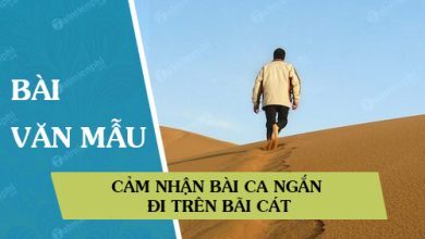 cam nhan bai ca ngan di tren bai cat 390x220 1