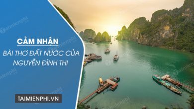 cam nhan bai tho dat nuoc cua nguyen dinh thi 390x220 1