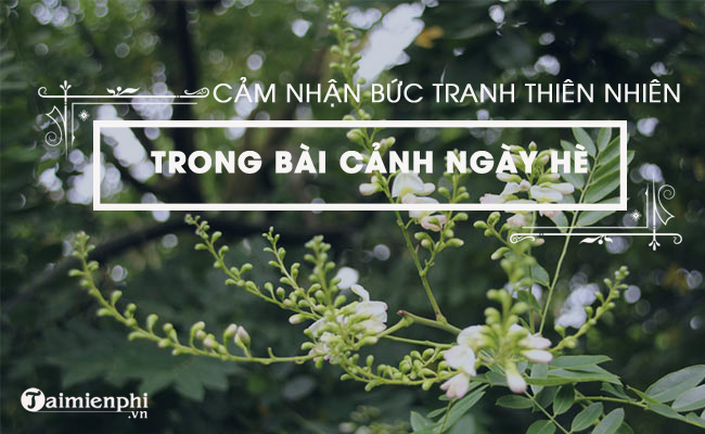 phan tich buc tranh thien nhien trong bai tho canh ngay he