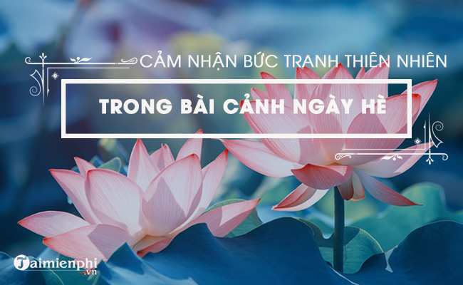 cam nhan buc tranh thien nhien ngay he trong bai tho canh ngay he