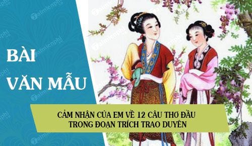 cam nhan cua em ve 12 cau tho dau trong doan trich trao duyen