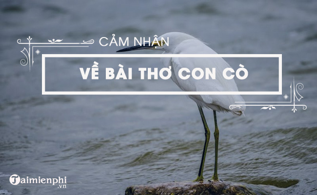 trinh bay cam nghi cua em ve bai tho con co cua che lan vien