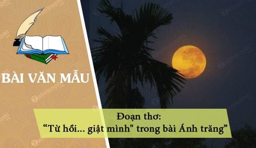 cam nhan cua em ve doan tho tu hoi giat minh trong bai anh trang