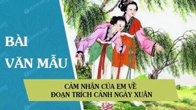 cam nhan cua em ve doan trich canh ngay xuan 390x220 1