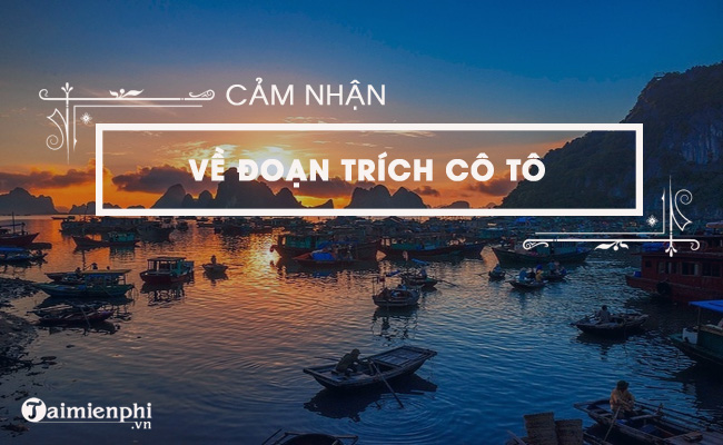 cam nhan ve doan trich co to cua nguyen tuan