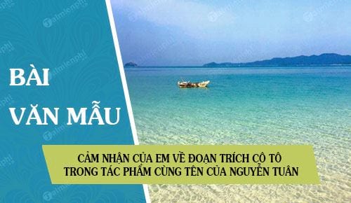 cam nhan cua em ve doan trich co to trong tac pham cung ten cua nguyen tuan