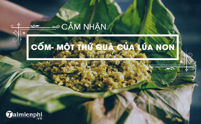 cam nhan cua em ve bai mot thu qua cua lua non com